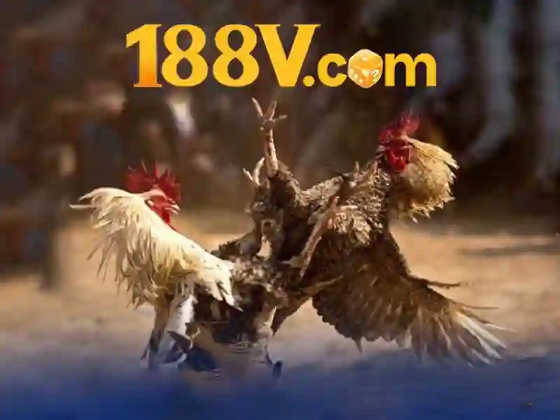 Nguồn gốc và ý nghĩa của 188v