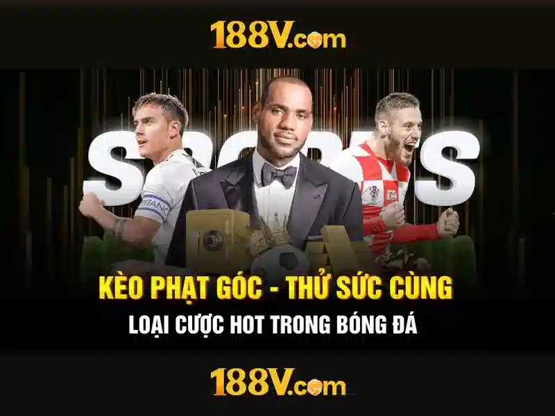 Hệ sinh thái tương tác và nhận thức