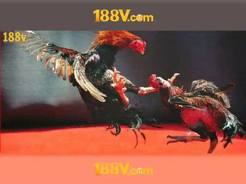Khám phá 188V: hiểu biết và ứng dụng
