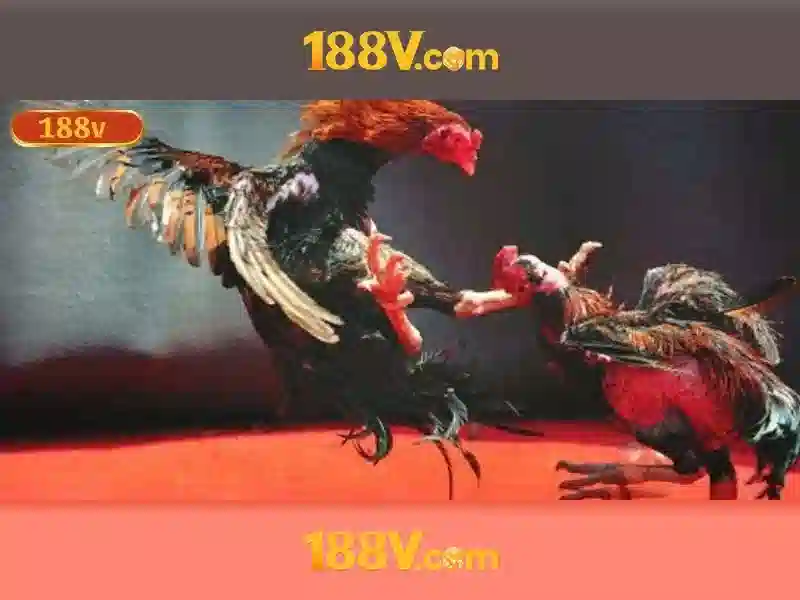 Tương lai của 188v và thị trường