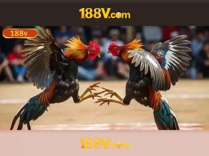 188v: một hành trình giữa dữ liệu và thời gian