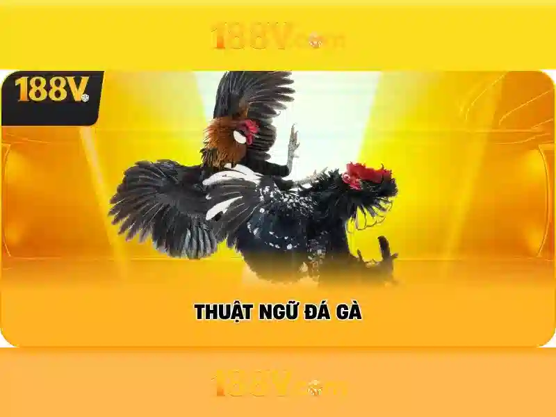 188V: một khái niệm và hành trình khám phá