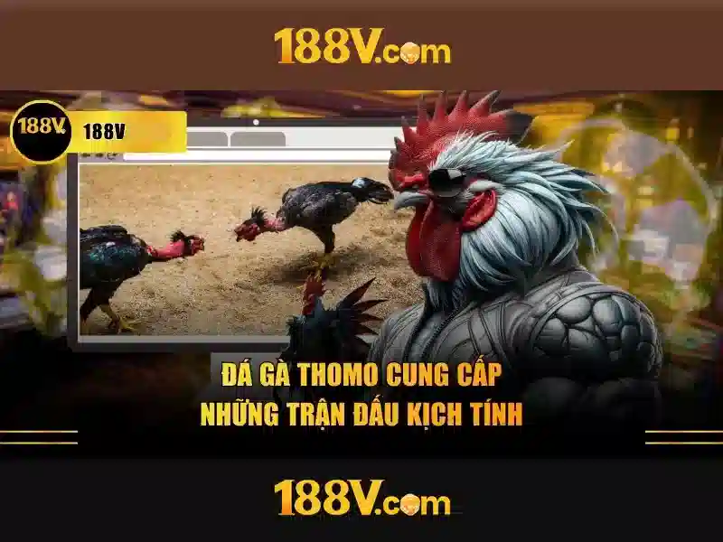 Hệ thống hỗ trợ người chơi 188v