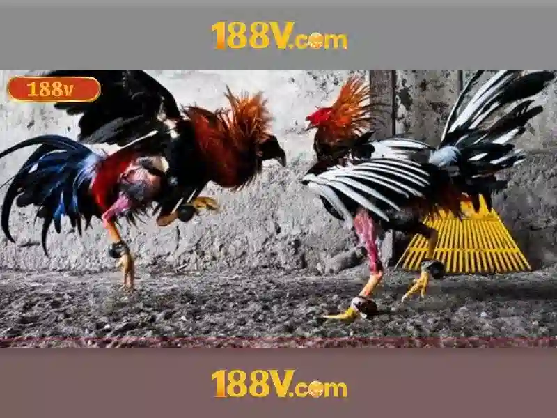 Khám phá 188v: năng lượng và ý nghĩa