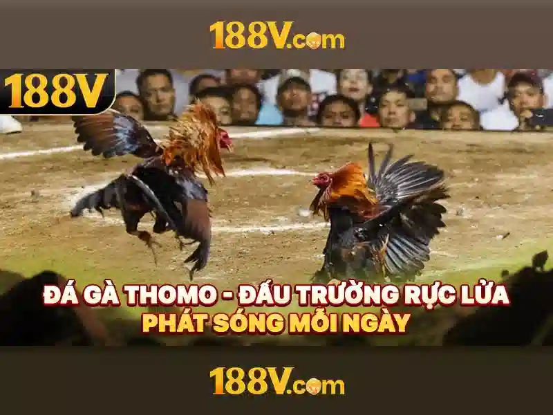 188v như một khái niệm đa chiều