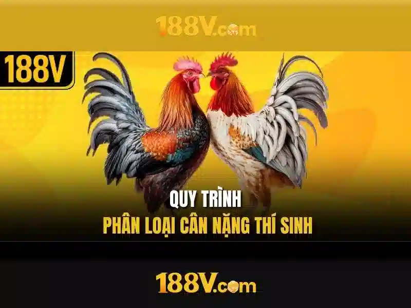 188v: một khái niệm giao thoa giữa khoa học và nghệ thuật