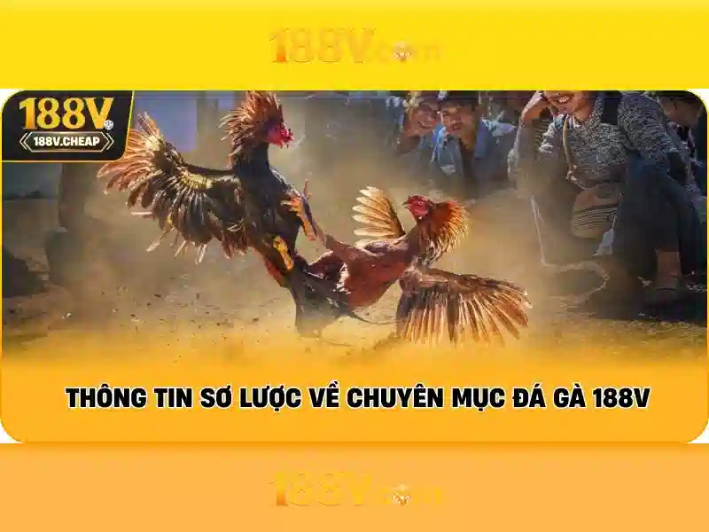 Kết luận