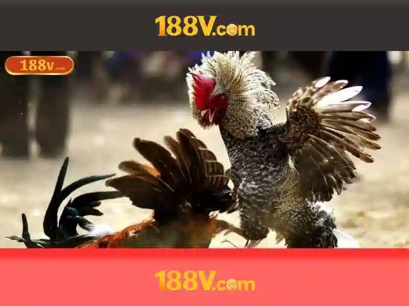 188v: một khía cạnh mới của thế giới số