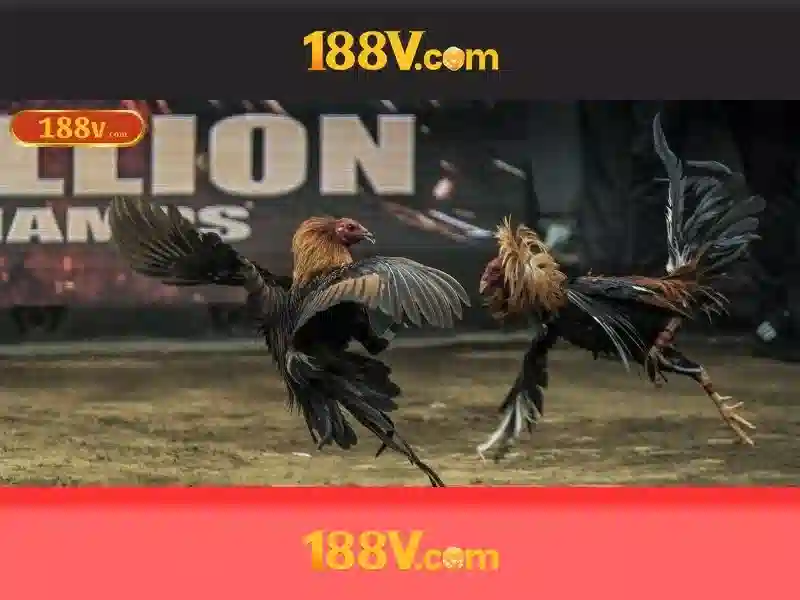 188v: một khái niệm kết nối công nghệ và nghệ thuật