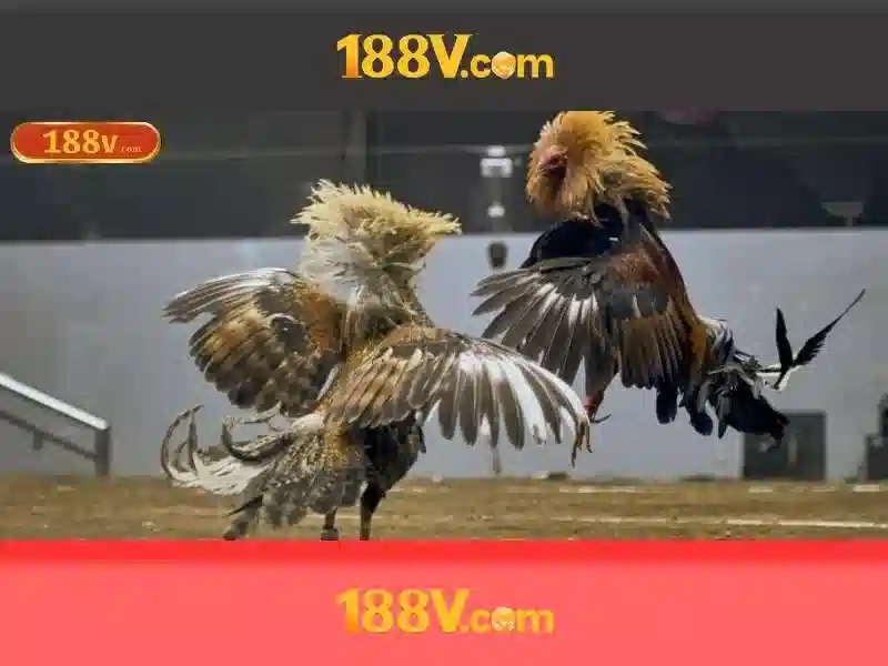 Nguồn gốc của 188v