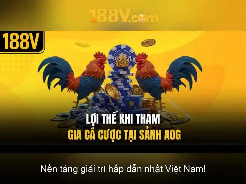 Phần I: 188V là gì