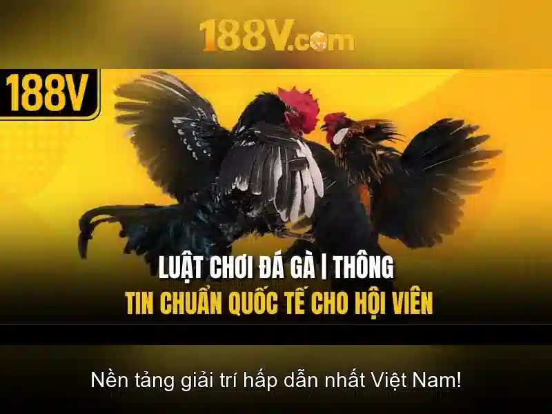 Khám phá 188v: nền tảng công nghệ mở cho tương lai