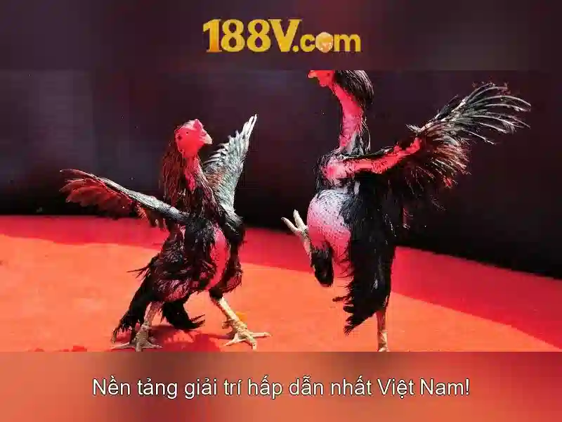 Khám phá 188V: Định nghĩa và bối cảnh