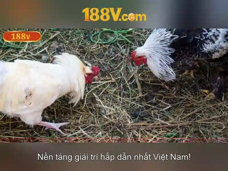 188v: một hiện tượng số và văn hóa đương đại