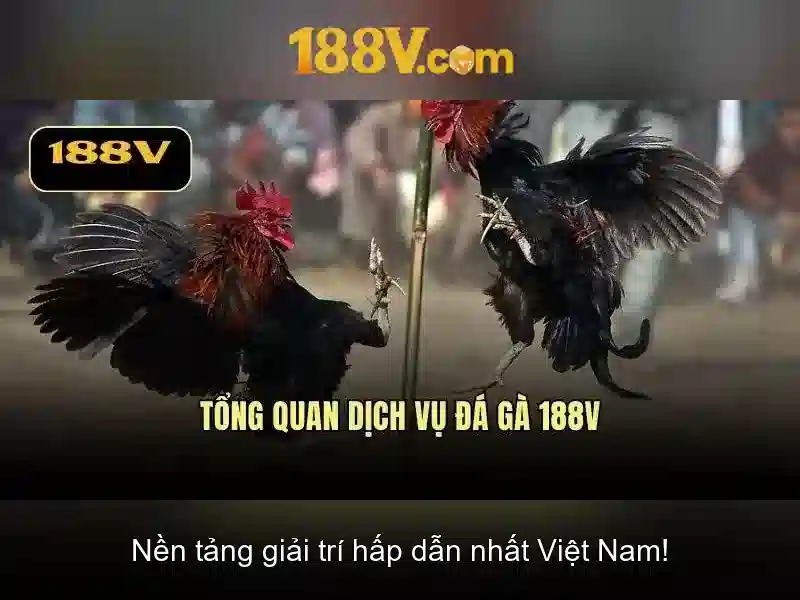 188v trong văn hóa và giáo dục
