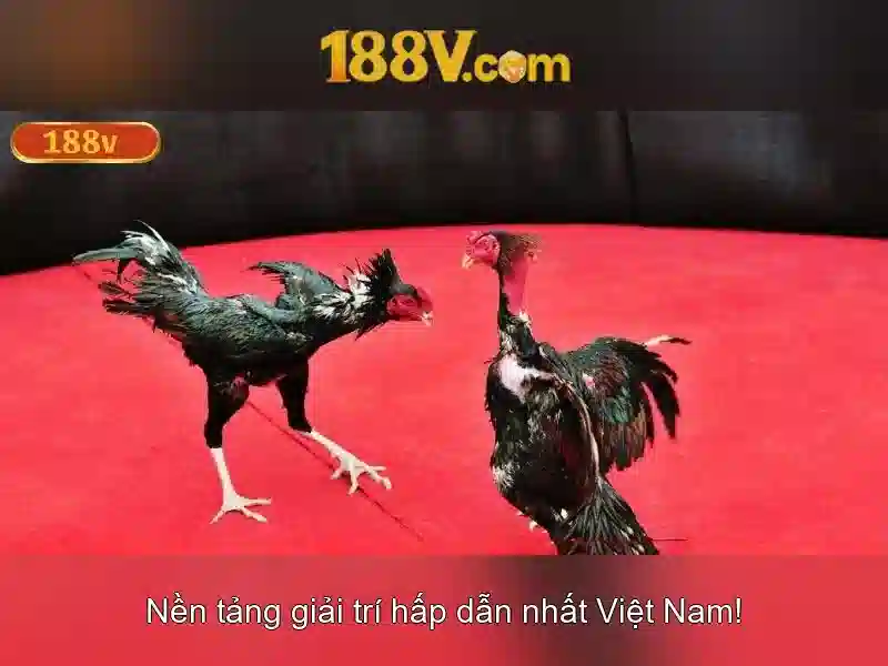 Ý nghĩa và nguồn gốc