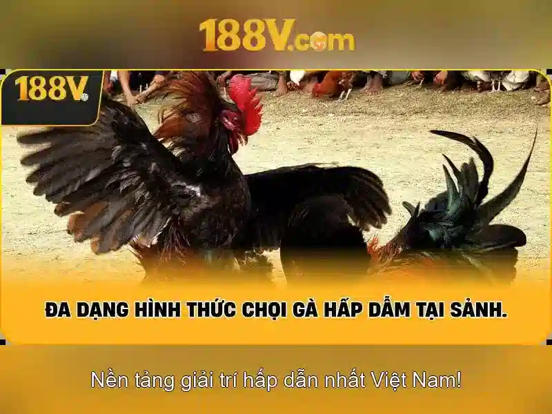 Các đặc điểm nổi bật của 188v