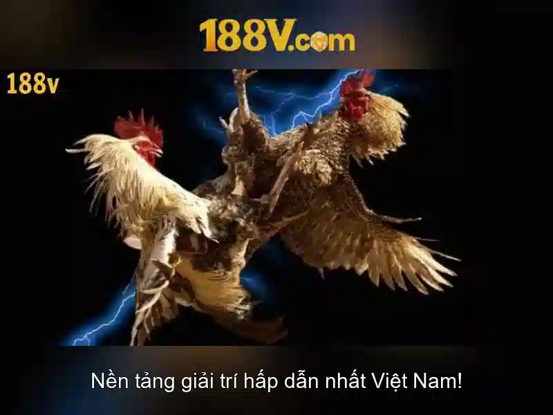 Khám phá 188v: định nghĩa, ứng dụng và thách thức