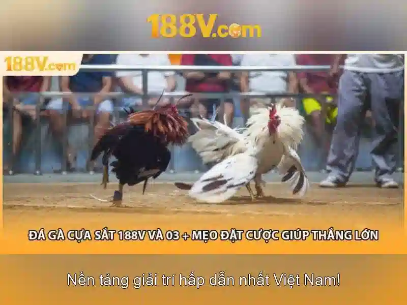 188v và sự tò mò của giới công nghệ
