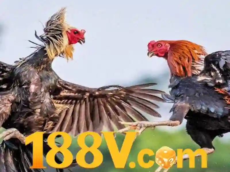 Khám phá nguồn gốc của 188v